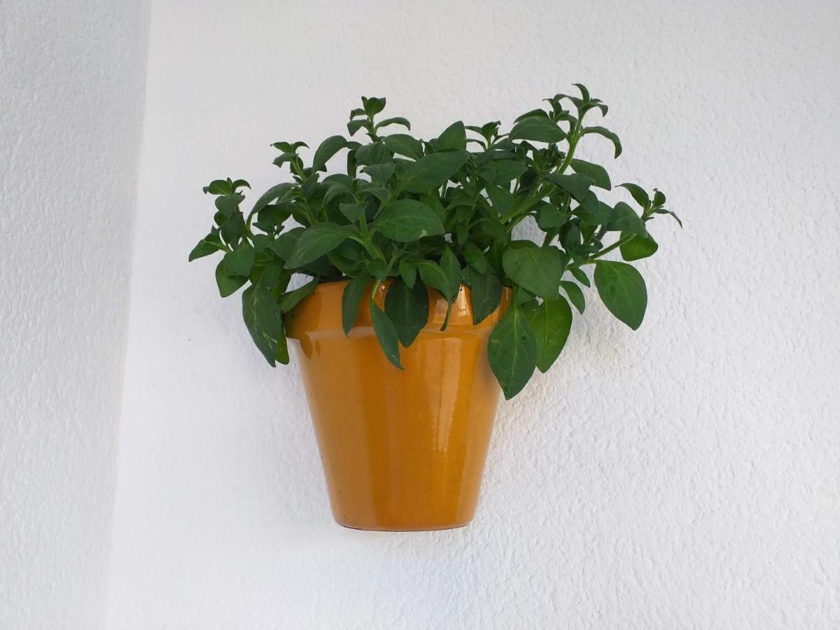 PontecesuresPons Caesaris别墅 外观 照片